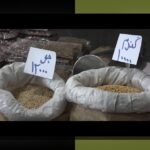 چالش‌های مالی باشگاه‌های ایران: چه مشکلاتی در مسیر درآمدزایی و مدیریت مالی وجود دارد؟