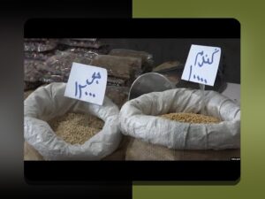 چالش‌های مالی باشگاه‌های ایران: چه مشکلاتی در مسیر درآمدزایی و مدیریت مالی وجود دارد؟